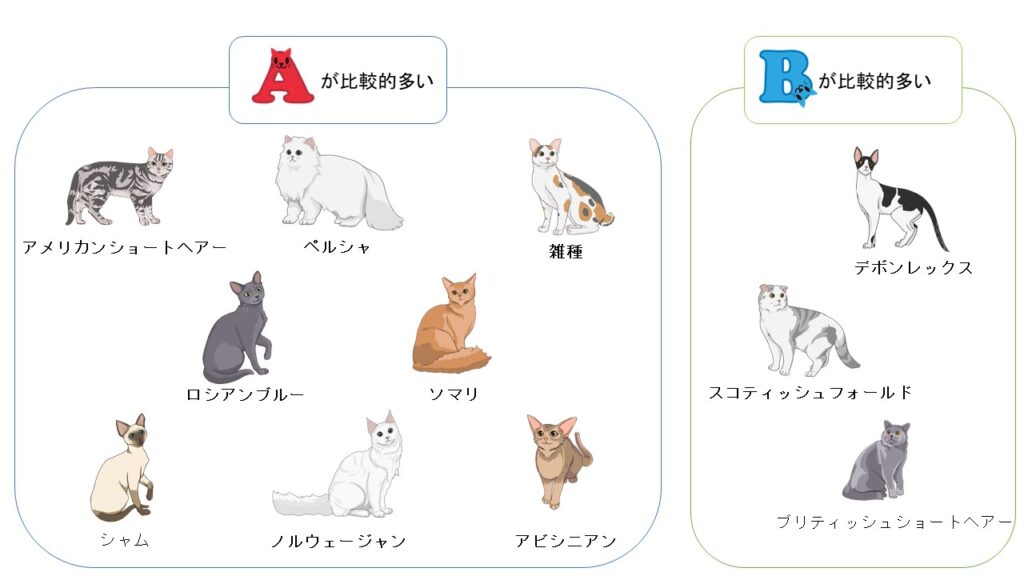 猫種と血液型の関係